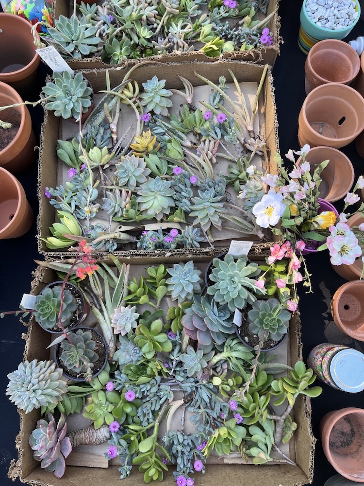 Wanted: Green Thumbs – Montecito Wanted: Green Thumbs – Montecito
