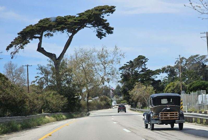 Iconic Cypress Torn Out by Montecito Journal - Issuu